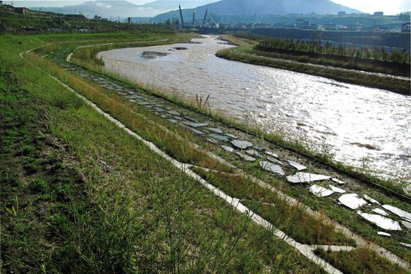 水生態(tài)2.png